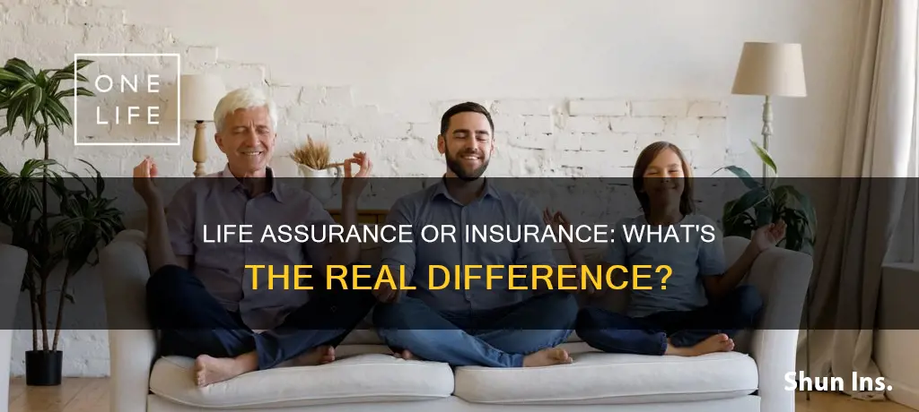 is it life assurance or insurance