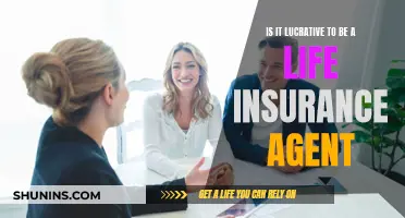 Lucrative Life Insurance Agent Careers: Are They Worth It?