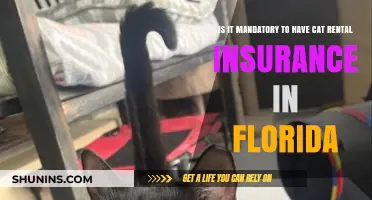 Rental Insurance for Cats: Florida's Mandatory Law Explained