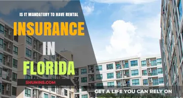 Rental Insurance in Florida: What's the Law?
