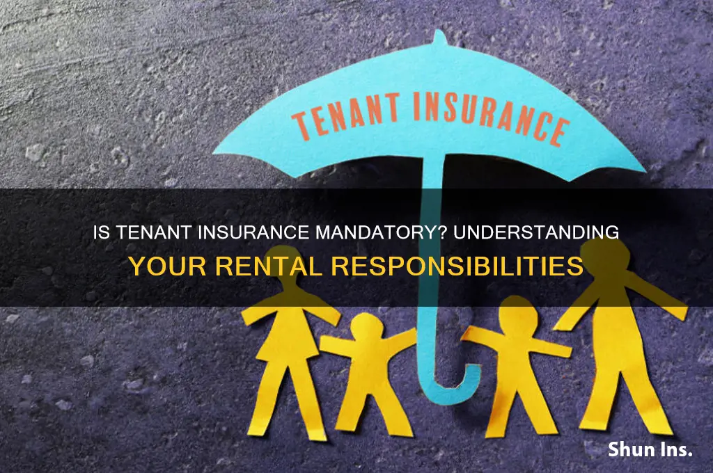 is it mandatory to have tenant insurance