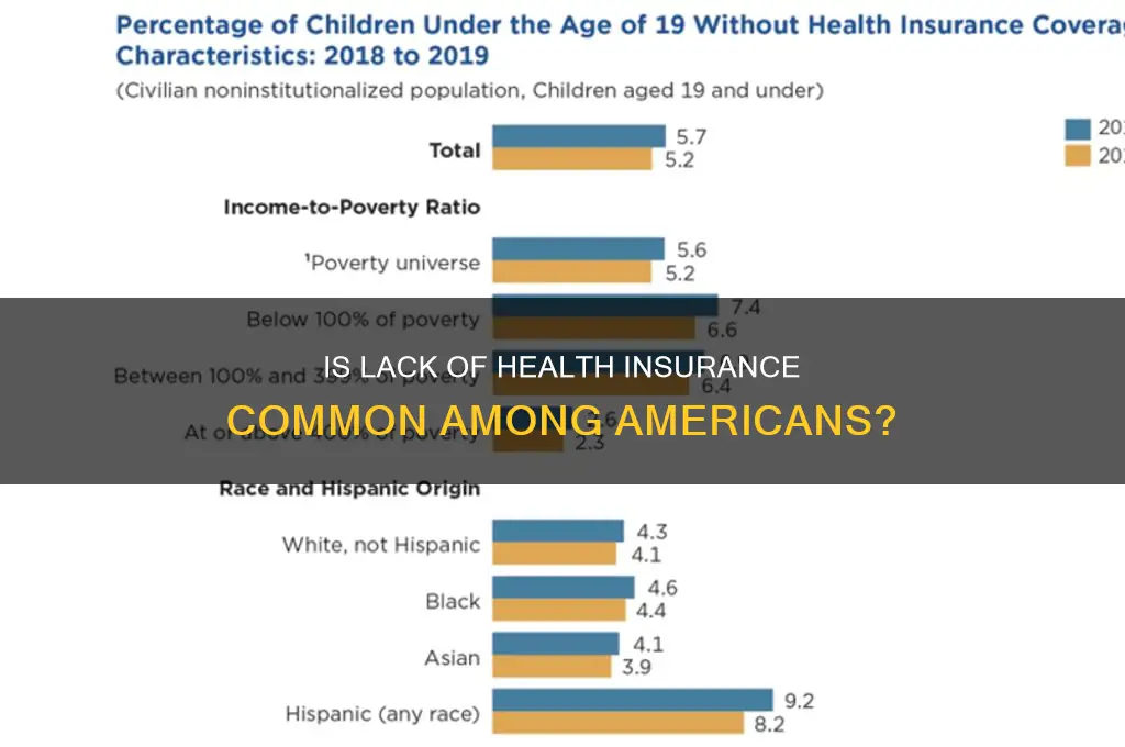 is it normal for americans not to have insurance