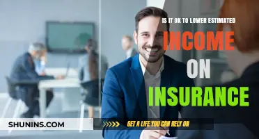 Lowering Estimated Income on Insurance: Ethical, Legal, and Practical Considerations