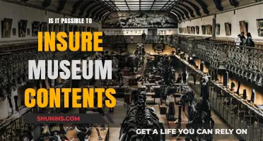 Can Museum Collections Be Insured? Exploring Coverage Options and Challenges