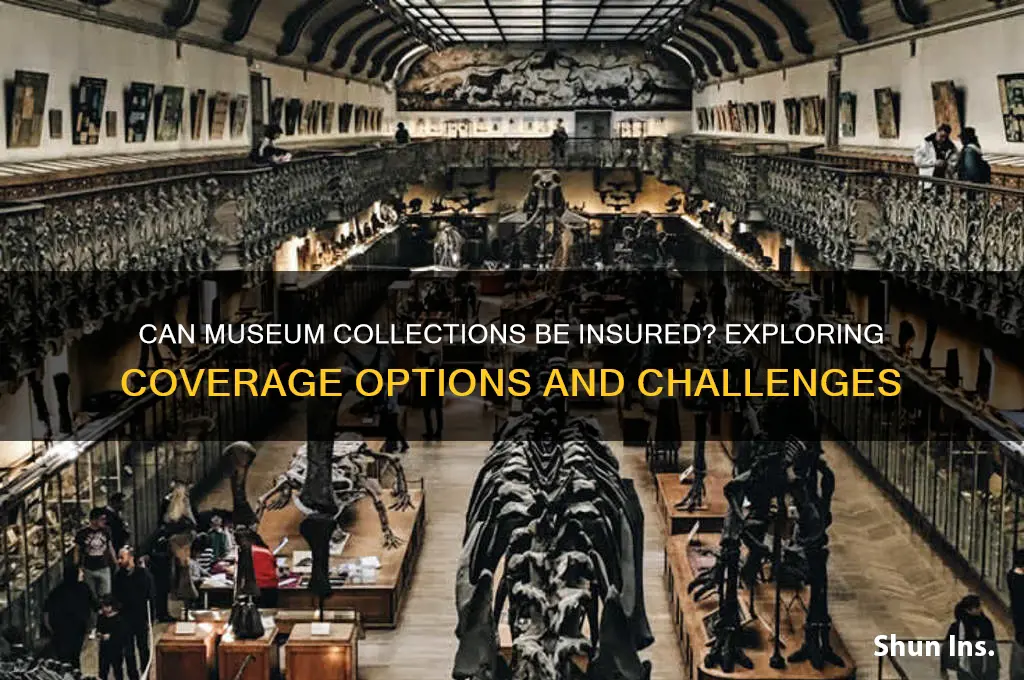 is it passible to insure museum contents