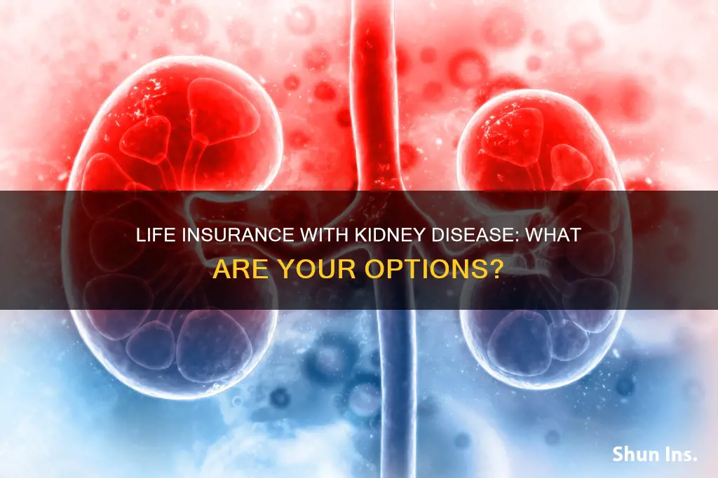 is it possible to get life insurance with kidney disease