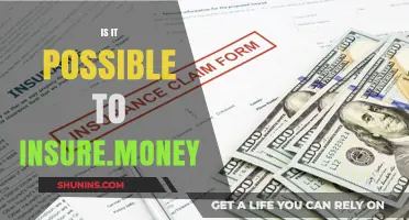 Insuring Your Money: Is It Possible?