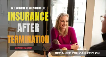 Life Insurance After Termination: Can Group Coverage Continue?