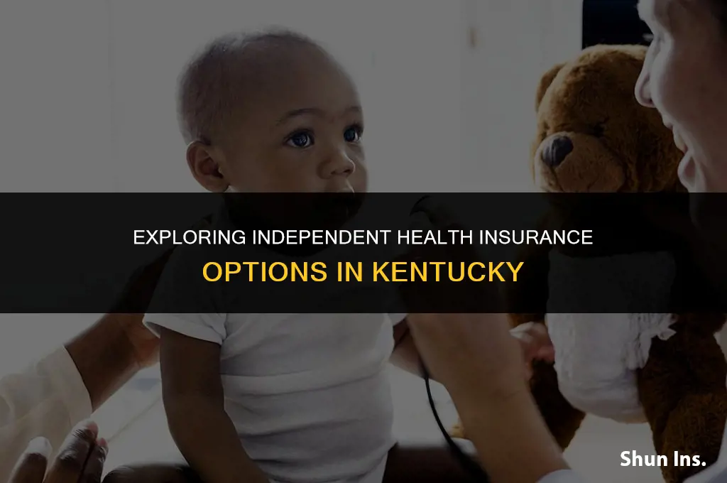 is it possible to purchase independ health insurance in ky
