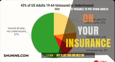 Can You Add Other Adults to Your Insurance Policy?