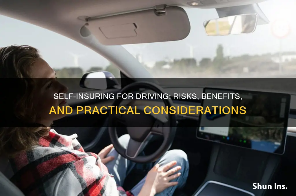is it possible to self insure for driving