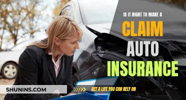 Should You Make an Auto Insurance Claim?