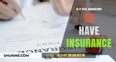 Is Insurance Still Mandatory? Exploring Legal Requirements and Personal Risks