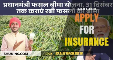 Explore Insurance Options: It's Never Too Late to Apply