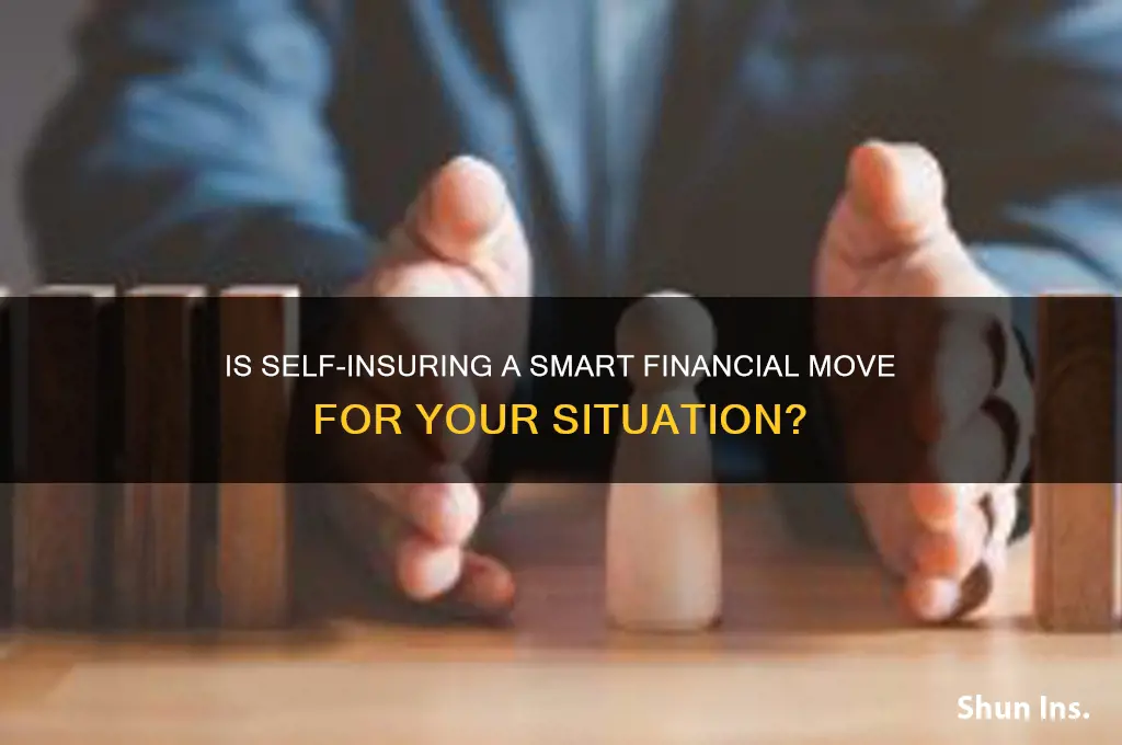 is it wise to self insure