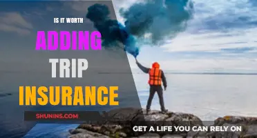 Trip Insurance: Worth the Cost?