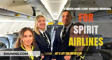 Baggage Insurance: Is Spirit Airlines Worth the Extra Cost?