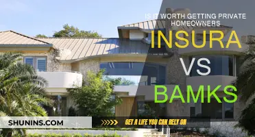 Private Home Insurance: Is It Worth the Extra Cost?