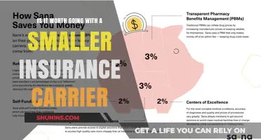 Smaller Insurance Carriers: Worth the Switch?