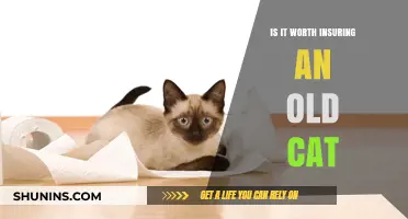 Pet Insurance: Old Cats, New Tricks?