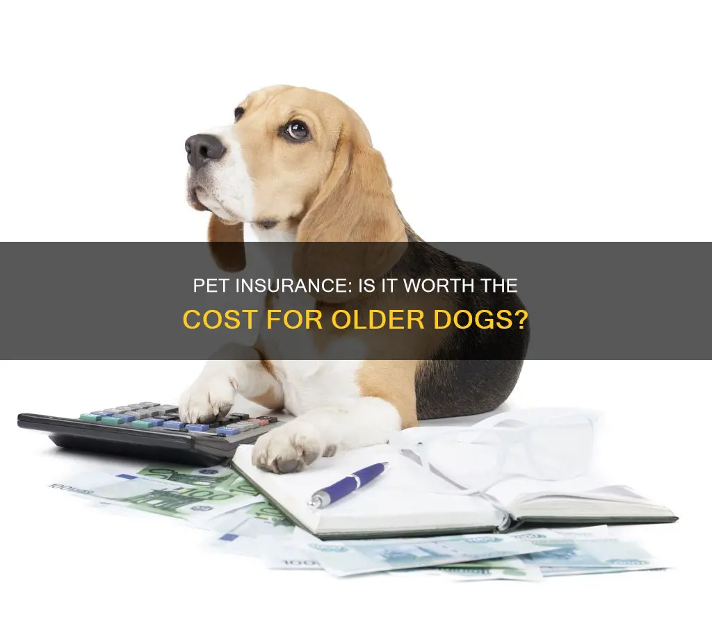 is it worth insuring an old dog