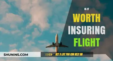 Flight Insurance: Is It Worth the Extra Cost?