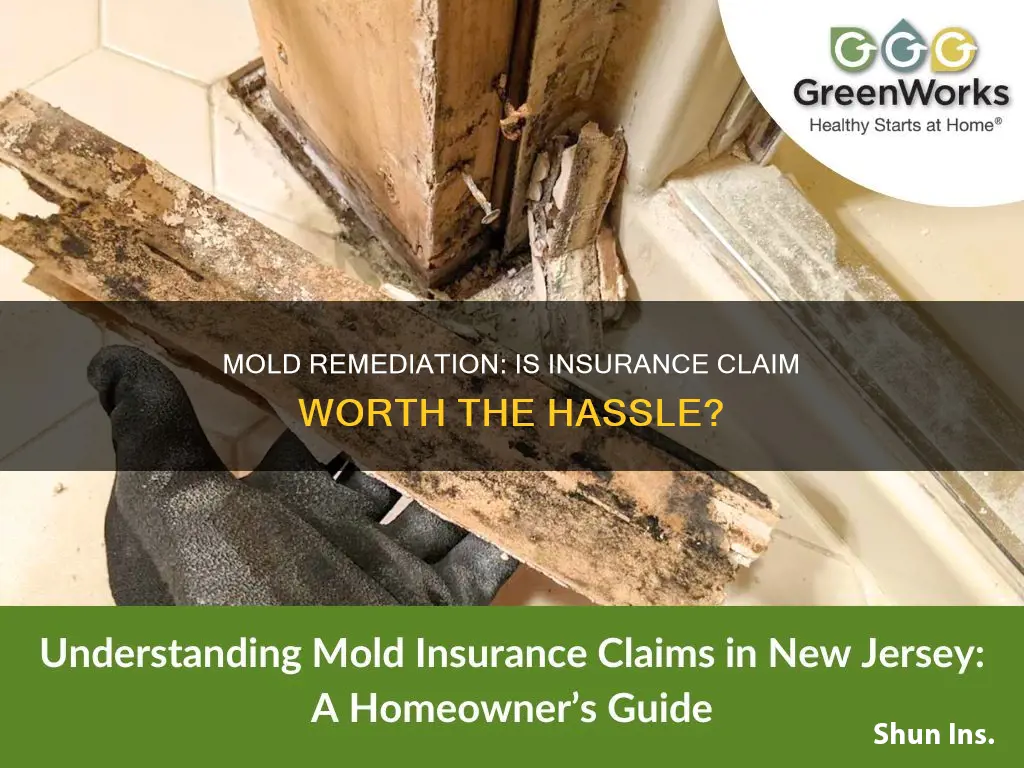 is it worth it to call insurance for mold remediation