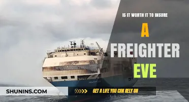 Insuring Freighters in EVE: Worth the Cost?