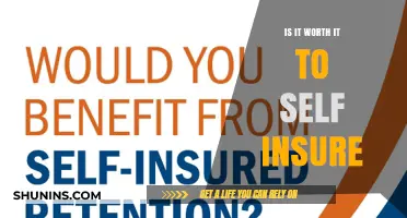 Self-Insuring: Is It Worth the Risk?