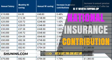 Maximizing National Insurance: Top-Up Contributions Worth the Effort?