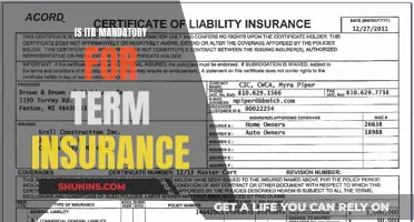 Term Insurance and ITR: Understanding the Mandatory Connection