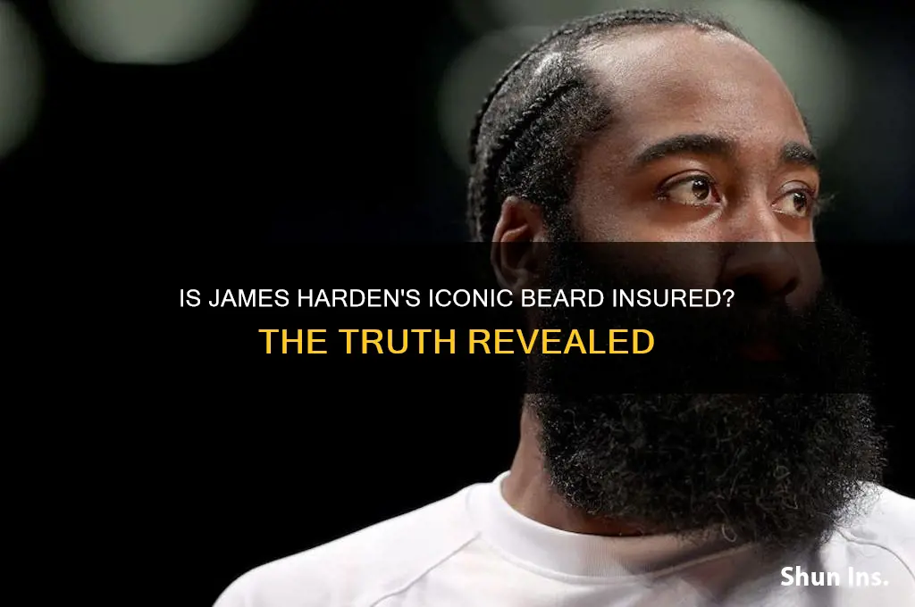 is james harden beard insured