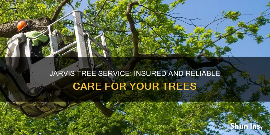 is jarvis tree service insured