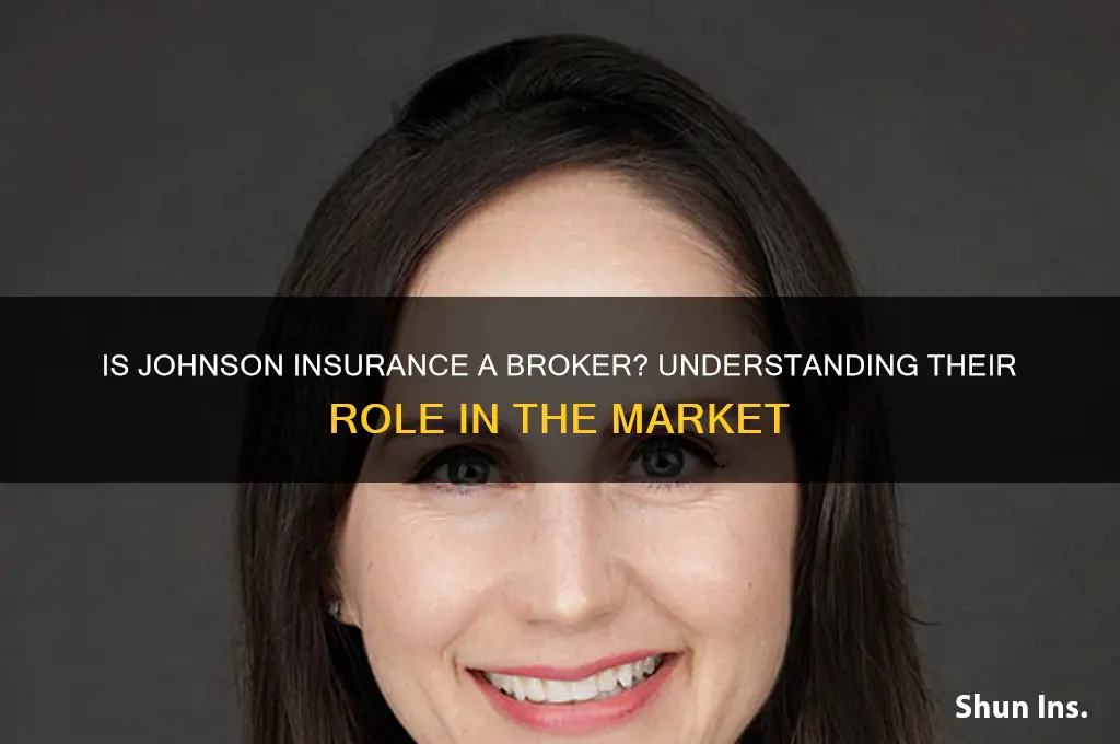 is johnson insurance a broker