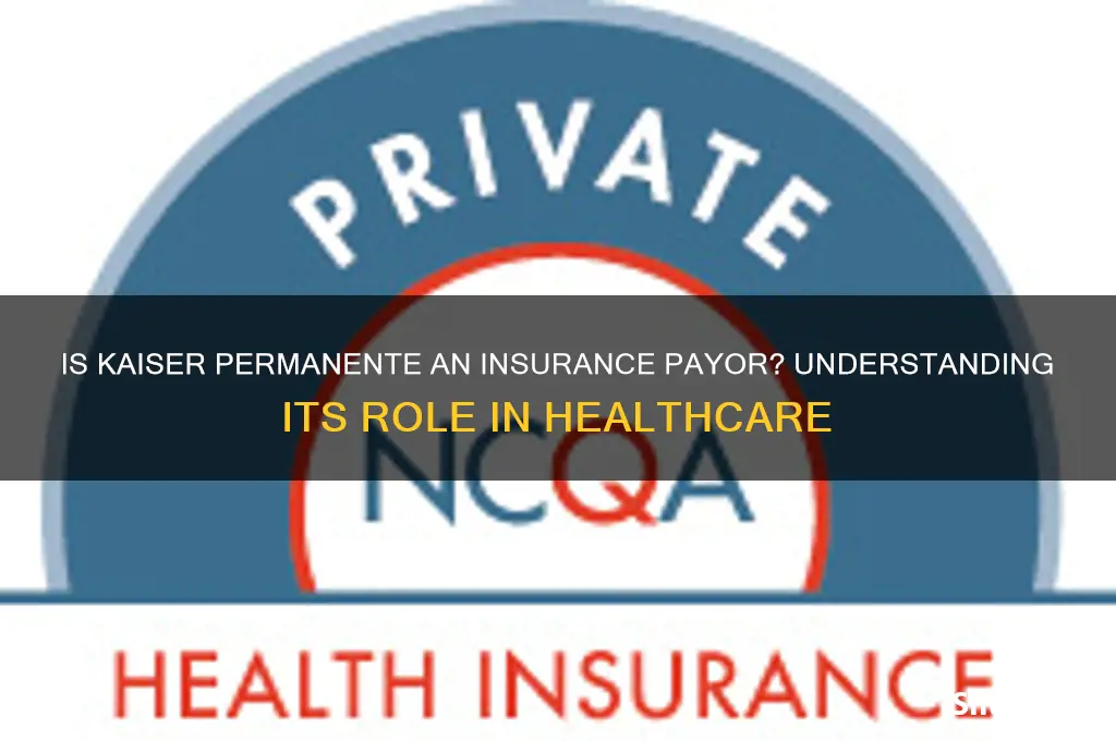 is kaiser permanente an insurance payor