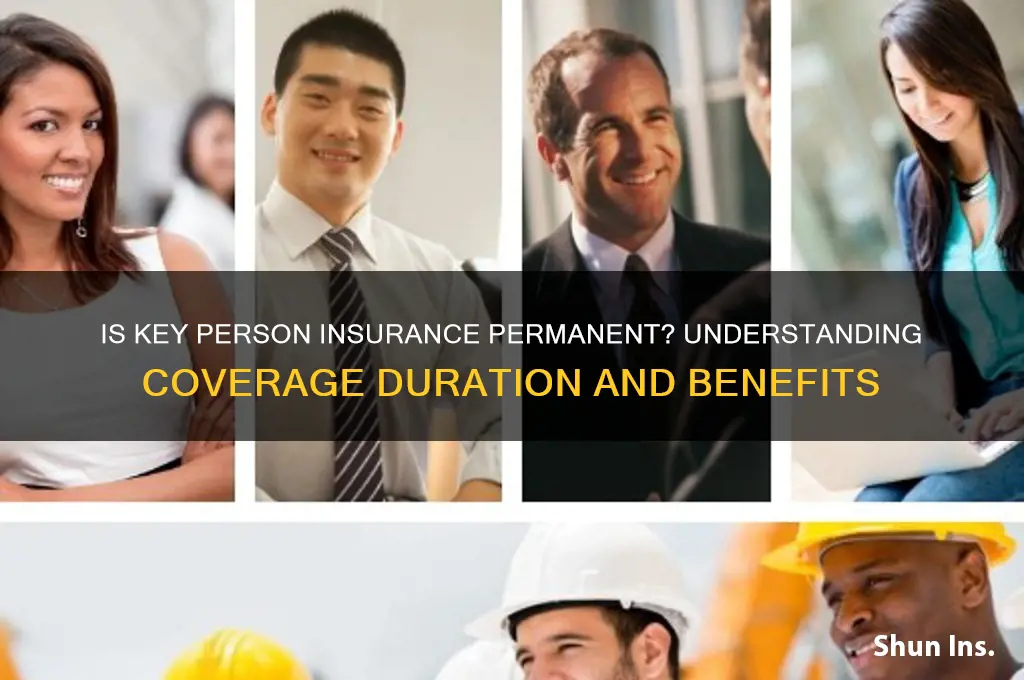 is key person insurance permanent