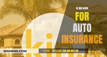 Kin Auto Insurance: Is It a Good Choice?