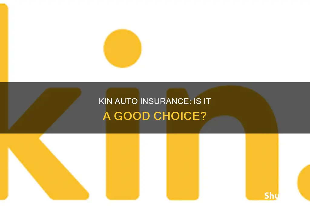 is kin good for auto insurance