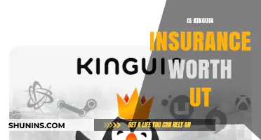 Kinguin Insurance: Is It Worth the Cost?