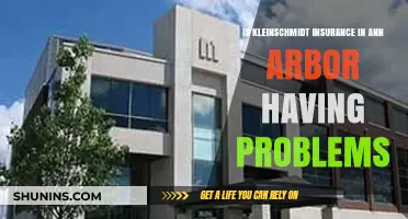 Kleinschmidt Insurance in Ann Arbor: Facing Challenges or Business as Usual?