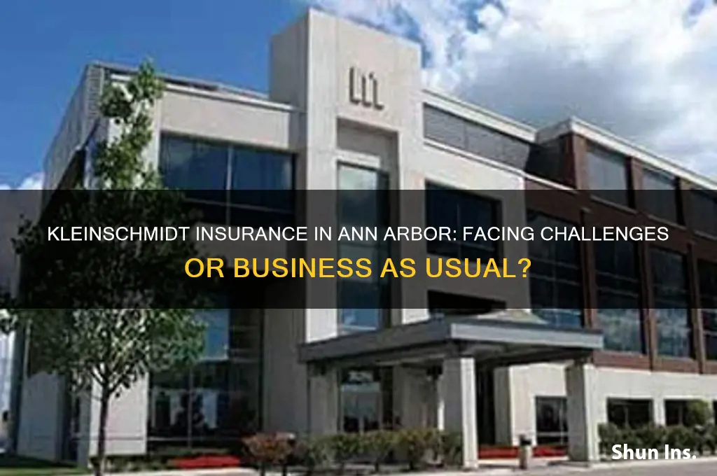 is kleinschmidt insurance in ann arbor having problems