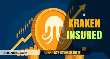 Is Kraken Insured? Understanding the Exchange's Security Measures