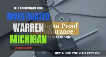 Auto Insurance Woes: Warren, Michigan Investigates LA Claims