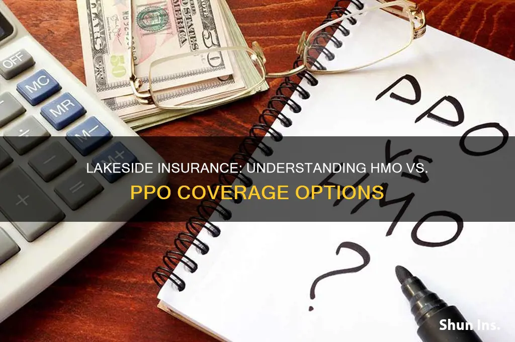 is lakeside insurance hmo or ppo