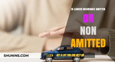 Lancer Insurance: Admitted or Non-Admitted Carrier Explained