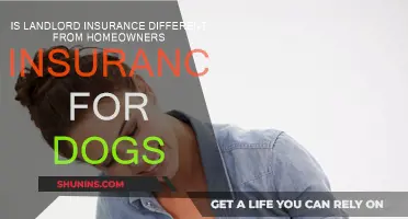 Dog Owners: Understand Landlord and Home Insurance Differences