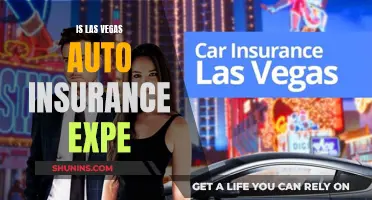 Las Vegas Auto Insurance: Is It Expensive?