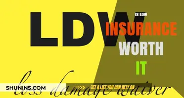 LDW Insurance: Worth the Cost or Waste of Money?