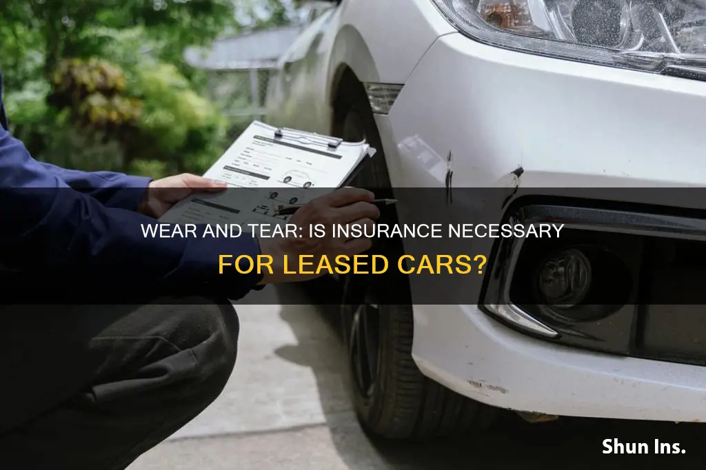 is lease wear and tear insurance worth it