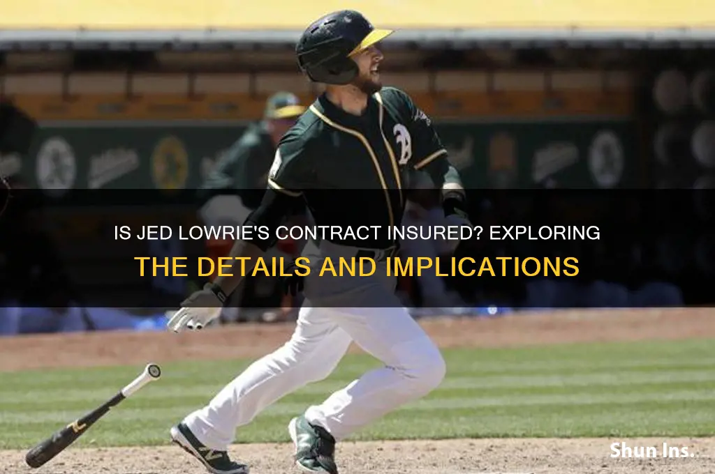 is led lowrie contract insured